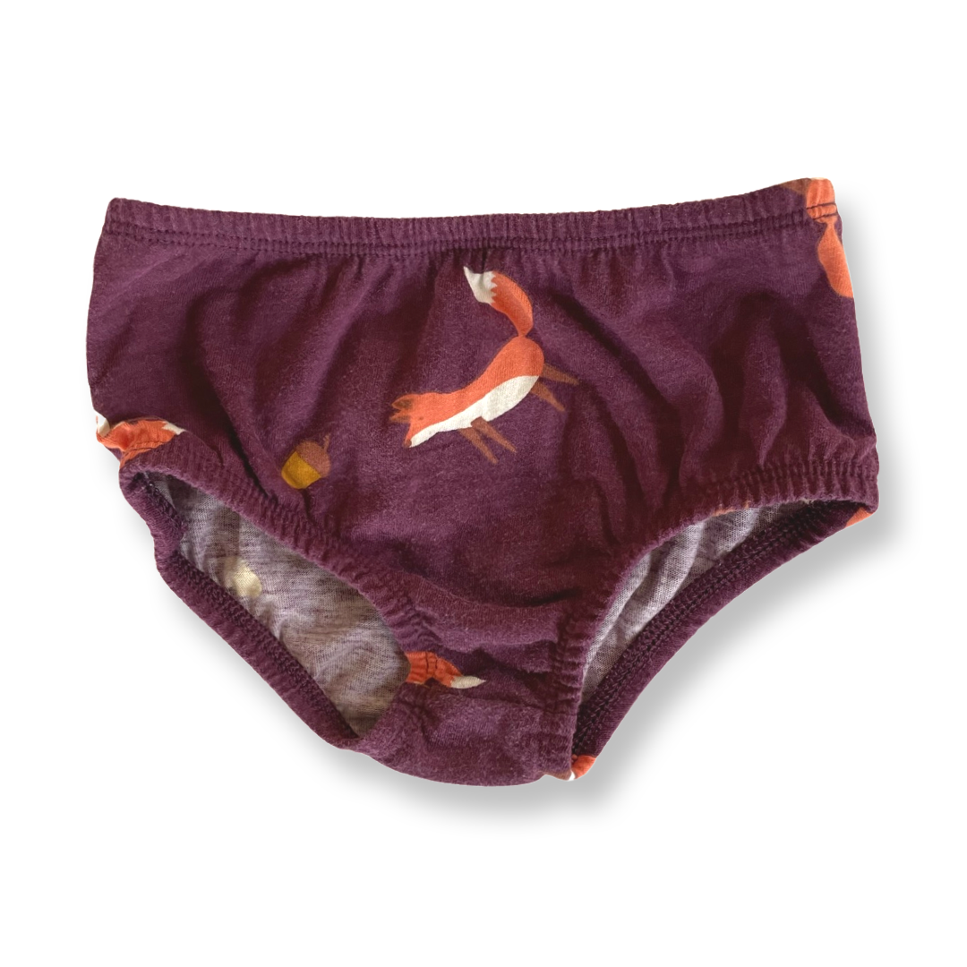 Wonder Nation Fox Dress w/ Bloomers - 6-9 mo.