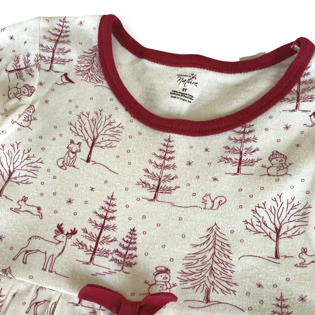 Touched By Nature Organic Winter Scene Dress - 3T