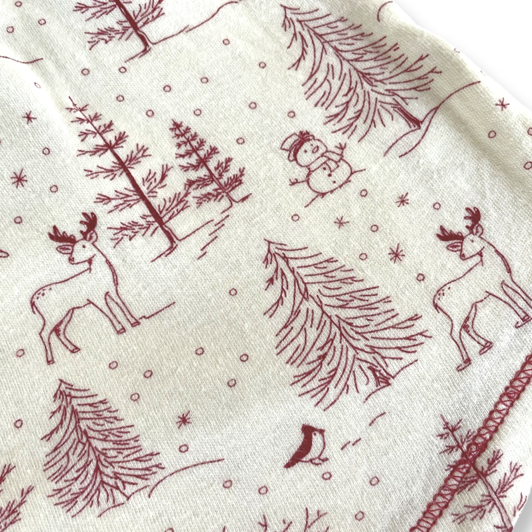 Touched By Nature Organic Winter Scene Dress - 3T