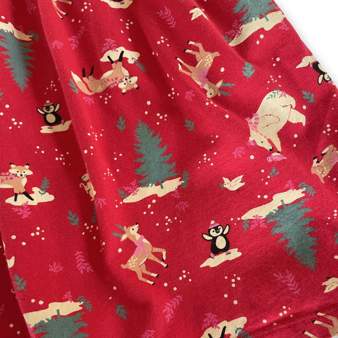 Wonder Nation Winter Animals Dress - 5 youth